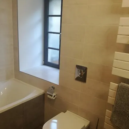 Great House In Center Of Luz St Sauveur